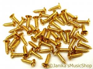 50 STRATOCASTER TELECASTER PICKGUARD SCREWS GOLD